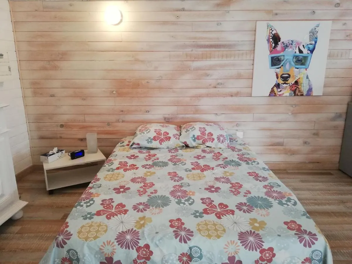 41 Rue De La Roche Apartment Auzat-la-Combelle