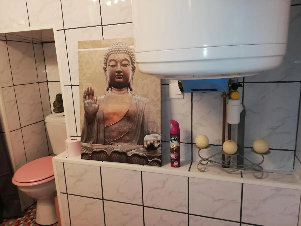 Apartament 41 Rue De La Roche Auzat-la-Combelle